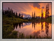 Park Narodowy Mount Rainier, Stan Waszyngton, Drzewa, Stany Zjednoczone, Jezioro Tipsoo, Zachód Słońca, Góry, Stratowulkan Mount Rainier