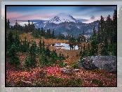 Park Narodowy Mount Rainier, Stan Waszyngton, Stany Zjednoczone, Góry, Stratowulkan Mount Rainier, Drzewa, Jezioro Tipsoo