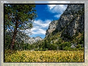 Park Narodowy Kings Canyon, Kalifornia, Góry