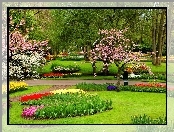 Park, Drzewa, Kwiaty, Klomby