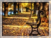 Park, Alejka, Liście, Ławka