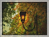 Park, Jesień, Drzewa, Liście, Latarnia