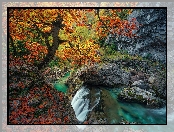 Pożółkłe, Dolina Ordeus, Skały, Głazy, Opadłe, Park Narodowy y Monte Perdido, Hiszpania, Rzeczka, Liście, Jesień, Drzewa