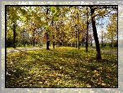 Park, Jesień, Moskwa, Rosja