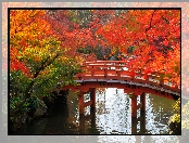 Park, Drzewa, Most, Jesień