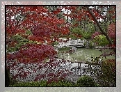Park, Drzewa, Mostek, Staw