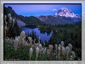 Park Narodowy Mount Rainier, Stratowulkan Mount Rainier, Góry, Rośliny, Stany Zjednoczone, Jezioro, Wieczór, Miądrzyga, Stan Waszyngton, Drzewa, Zmierzch