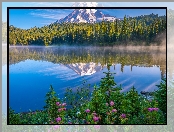Park Narodowy Mount Rainier, Drzewa, Las, Góry, Stany Zjednoczone, Jezioro, Mgła, Stratowulkan Mount Rainier, Stan Waszyngton, Kwiaty, Odbicie