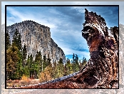 Park, USA, Narodowy, Yosemite