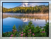 Odbicie, Park Narodowy Mount Rainier, Góry, Świerki, Stany Zjednoczone, Drzewa, Jezioro, Stan Waszyngton, Stratowulkan Mount Rainier, Kwiaty, Mgła, Reflection Lake