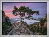 Park prowincjonalny Daedunsan, Prowincja Jeolla Północna, Korea Południowa, Wschód Słońca, Drzewa, Sosny, Góry