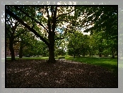 Queens park, Toronto