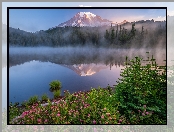 Park Narodowy Mount Rainier, Drzewa, Stany Zjednoczone, Stratowulkan Mount Rainier, Stan Waszyngton, Mgła, Góry, Kwiaty, Jezioro, Odbicie