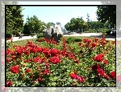 Park, Fontanna, Róże, Drzewa