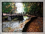 Park, Jesień, Rzeczka, Most