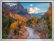 Park Narodowy Zion, Stany Zjednoczone, Virgin River, Góry Watchman, Jesień, Stan Utah, Drzewa, Rzeka, Kamienie