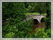 Rzeka, Park, Most