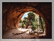 Park Narodowy Arches, Utah, Jaskinia, Stany Zjednoczone, Drzewa, Sosny, Skały