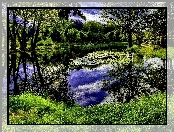 Park, Art, Staw, Zieleń