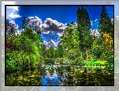 Park, HDR, Staw, Chmury