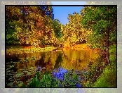 Park, Jesień, Staw, Most