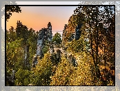 Park Narodowy Saskiej Szwajcarii, Góry Połabskie, Niemcy, Formacja skalna Bastei, Most, Skały, Drzewa