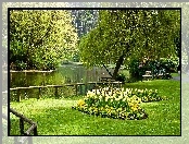 Wiosna, Park, Staw