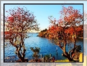 Park, Australia, Woda, Drzewa