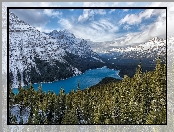 Park Narodowy Banff, Zima, Kanada, Góry Canadian Rockies, Jezioro Peyto Lake, Lasy, Drzewa