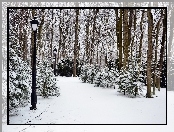 Zima, Park, Latarnie