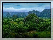 Pasmo Sierra de los Organos, Kuba, Prowincja Pinar del Rio, Dolina Valle de Vinales, Wzgórza