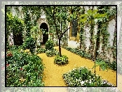 Dom, Patio, Ogród