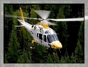 Patrol, Augusta, Westland, AW-109, Las