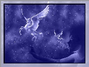 Fantasy, Kobieta, Pegaz