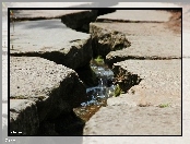 Kamienie, Pęknięcie, Strumyk