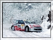 Rajdowy, Peugeot 206