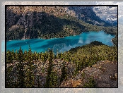 Peyto Lake, Park Narodowy Banff, Góry, Kanada, Drzewa, Jezioro, Skały
