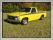 Żółty, Dodge Dakota, Pick-Up