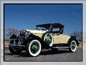 Pierce Arrow, Samochód Zabytkowy, 1928 Rok