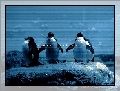 chmury, Linux, pingwin, niebo