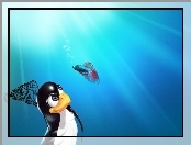 Pingwin, Linux, Ryba, Bojownik