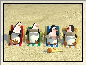 Pingwiny Z Madagaskaru, Plaża, The Penguins of Madagascar, Pingwiny