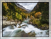 Drzewa, Rzeka, Pireneje, Kamienie, Hiszpania, Arazas River, Prowincja Huesca, Góry, Jesień