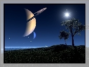Planeta, Drzewa