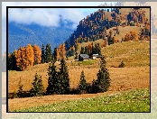 Płaskowyż Seiser Alm, Region Trydent-Górna Adyga, Pola, Włochy, Wzgórza, Drzewa, Domy, Jesień
