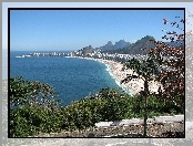 Plaża, Rio De Janeiro, Morze, Drzewa