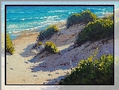 Morze, Plaża, Wydmy