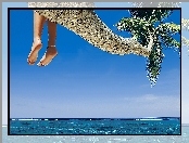 Nogi, Plaża, Palma
