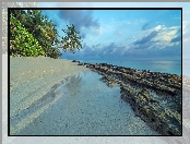 Wyspa Dhoores, Drzewa, Malediwy, Palmy, Południowy atol, Morze, Kamienista, Plaża