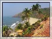 Plaża, Indie, Palmy, Goa